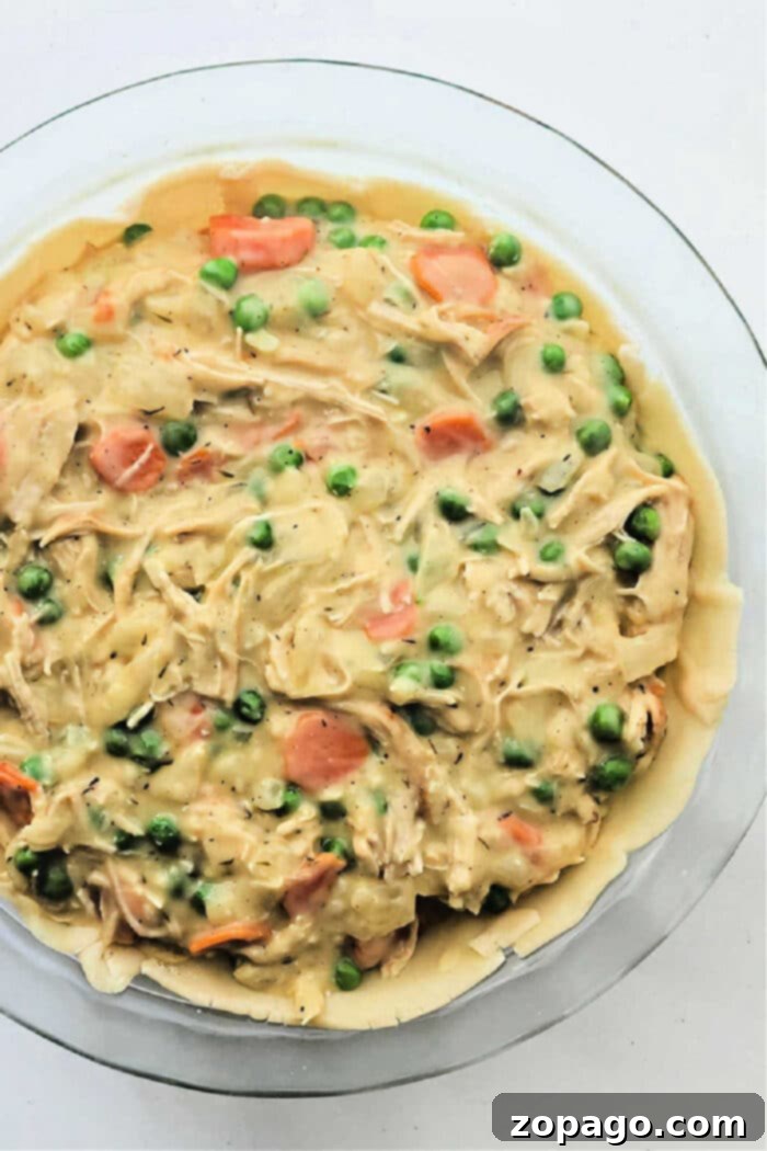 Creamy Chicken Pot Pie Recipe 5 Frozen Chicken Pot Pie