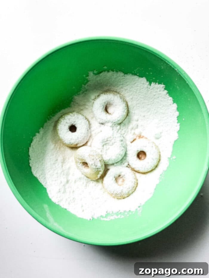 Perfect Powdered Sugar Donuts 6 Donuts with Powdered Sugar