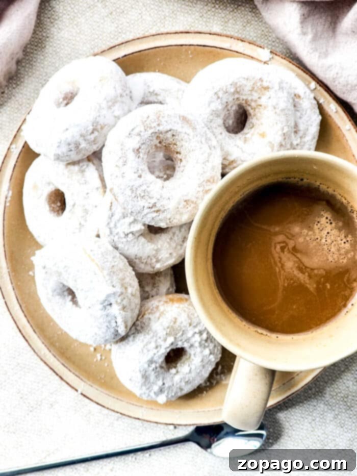 Perfect Powdered Sugar Donuts 7 Homemade Powdered Sugar Donuts Recipe