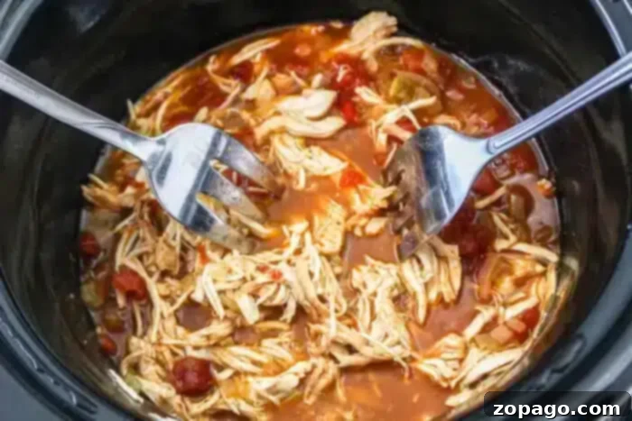 Kickin' Rotel Tacos 6 Two forks are shredding cooked chicken in a slow cooker. The chicken mingles with a vibrant Rotel sauce featuring diced tomatoes and green peppers, perfect for mouth-watering tacos.