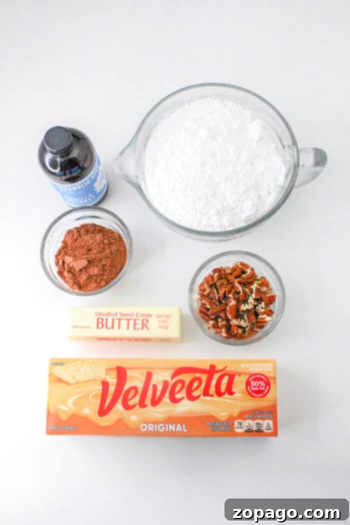 Creamy Velveeta Fudge 3 Rich Velveeta Fudge, dark and smooth, prepared with high-quality cocoa powder.