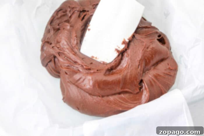 Creamy Velveeta Fudge 5 Smooth, rich fudge prepared with butter as a key ingredient, contributing to its creamy consistency.