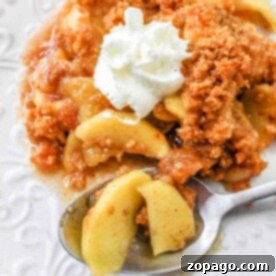 Golden Apple Gratin 8 A serving of apple crisp with whipped cream, showcasing tender scalloped apples on a white plate, is displayed alongside a spoonful.