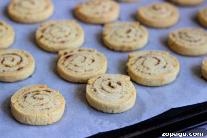 Cozy Cinnamon Swirl Cookies 5 Crunchy Cinnamon Biscuits