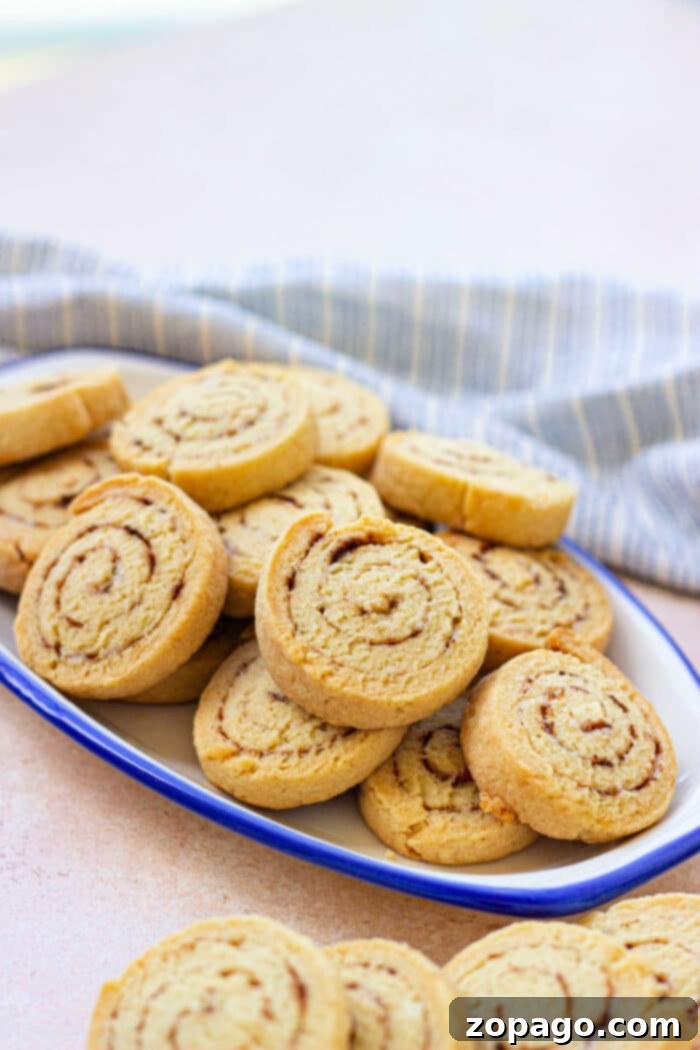 Cozy Cinnamon Swirl Cookies 6 Biscuits Cinnamon Sugar