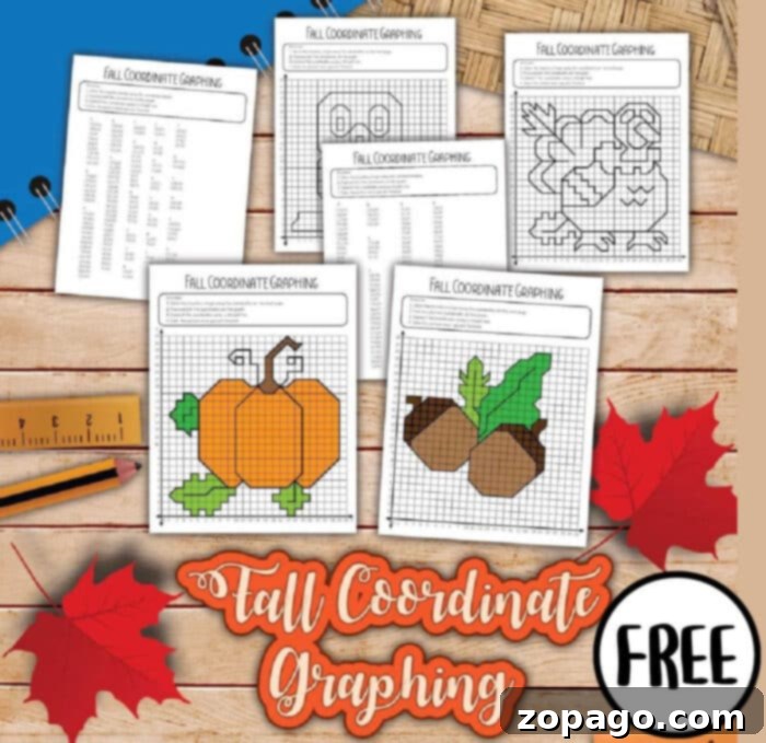 Free Graphing Art Discovery 5 Graphing Mystery Picture reveals a hidden image