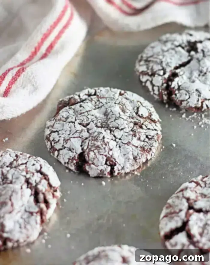 Easy Toaster Oven Cookies 2 A close-up of chocolate crinkle cookies on a baking sheet. The cookies are cracked on top and dusted with powdered sugar, revealing the chocolate underneath. Freshly baked as toaster oven cookies, a white towel with red stripes is partially visible in the background.