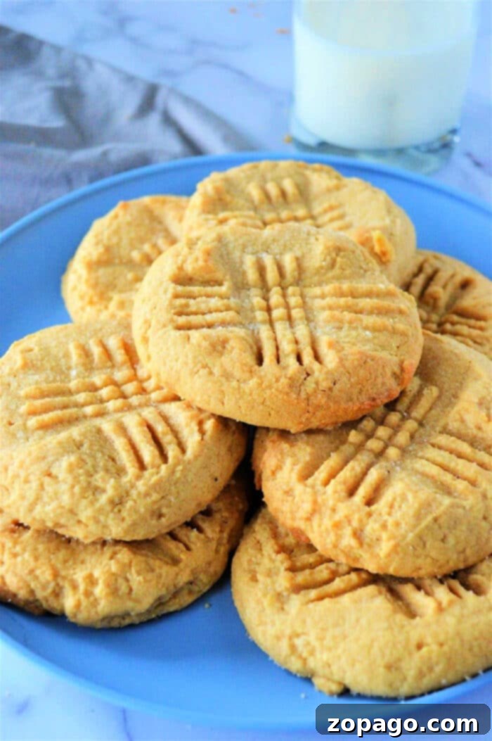 Easy Toaster Oven Cookies 6 3 Ingredient Toaster Oven Cookies