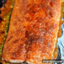 Salmon Toaster Oven