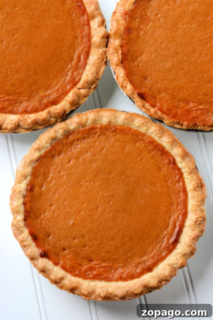 Mastering Pumpkin Pie Doneness 2 How to Tell if a Pumpkin Pie is Done