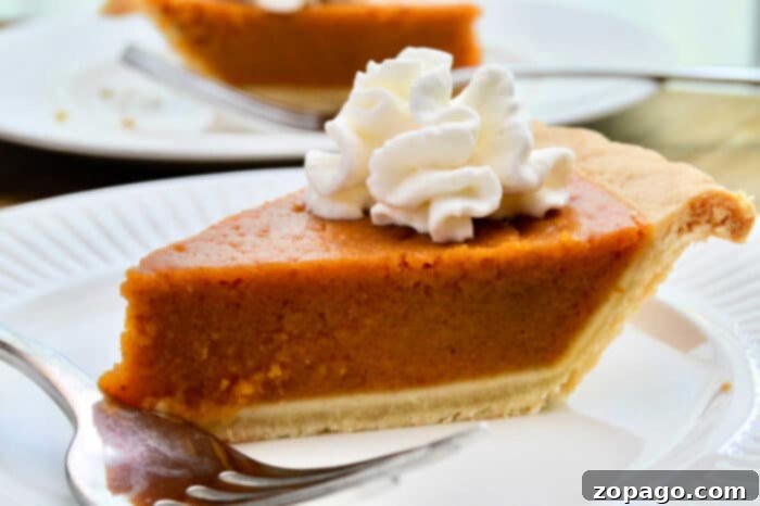 Mastering Pumpkin Pie Doneness 3 How to Bake a Pumpkin Pie