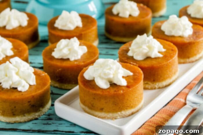 Mastering Pumpkin Pie Doneness 4 How do you know if a pumpkin pie is fine