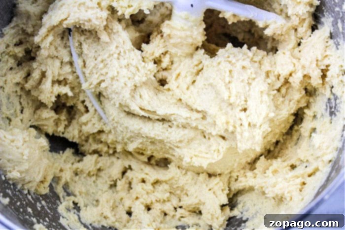 Confetti Sugar Cookie Delights 4 cookie dough