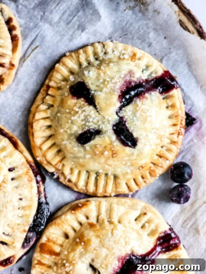 Air-Fried Blueberry Hand Pies 2 Blueberry Hand Pies - Golden, flaky crust with vibrant blueberry filling, perfect for a grab-and-go treat.