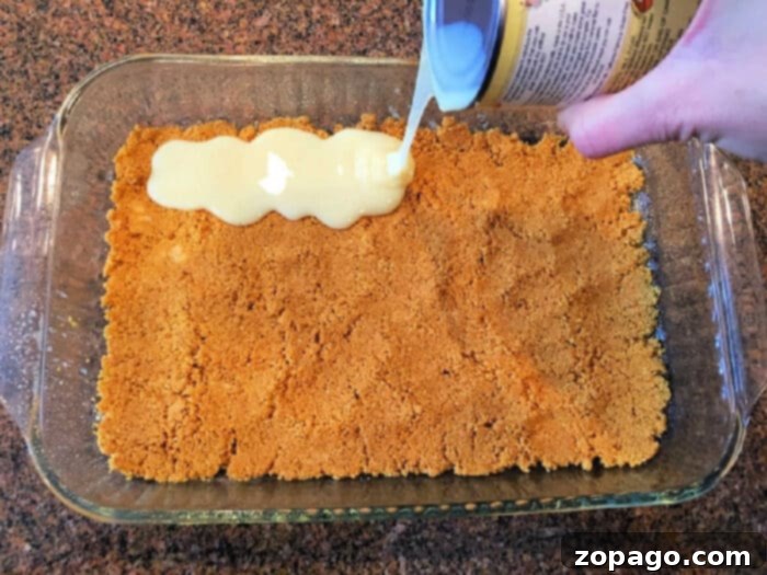 graham cracker crust 9x13 pan