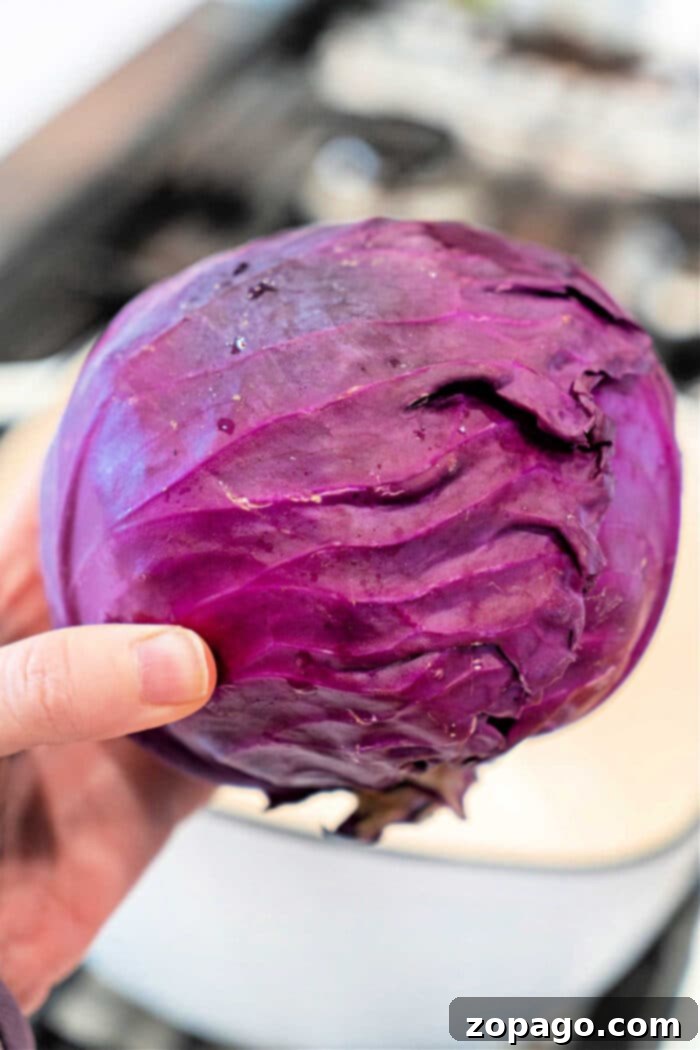 Purple Cabbage Culinary Adventures 2 Purple Cabbage Recipes