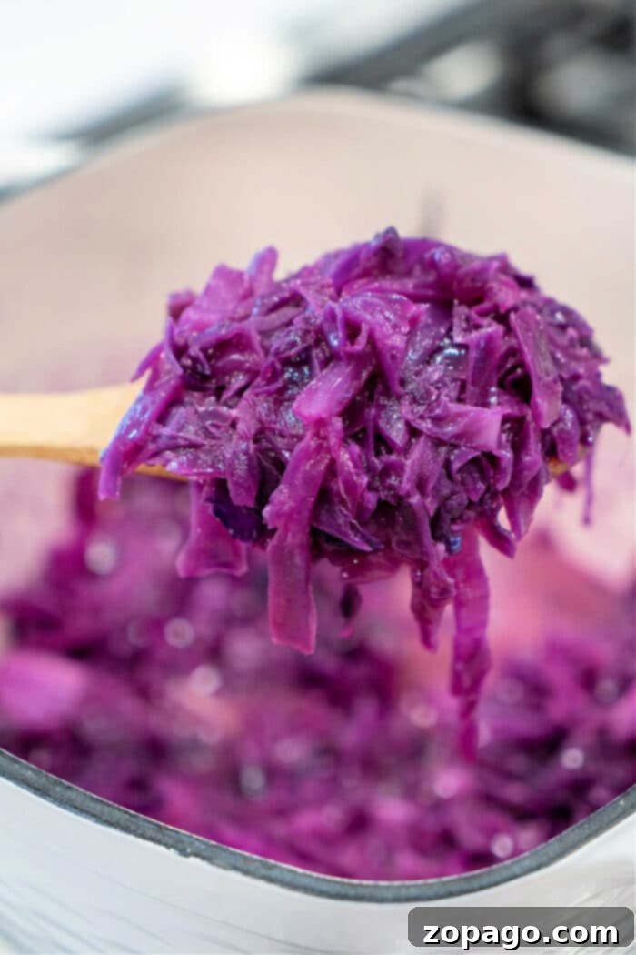 Purple Cabbage Culinary Adventures 4 Red Cabbage Recipes