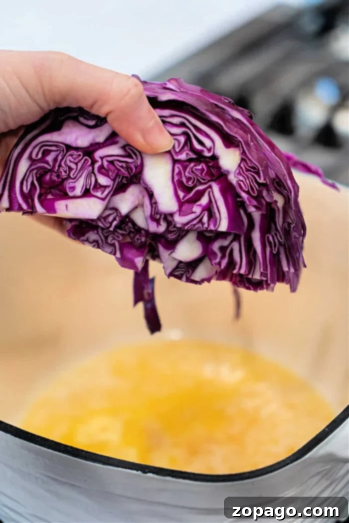 Purple Cabbage Culinary Adventures 6 What to Make with Purple Cabbage