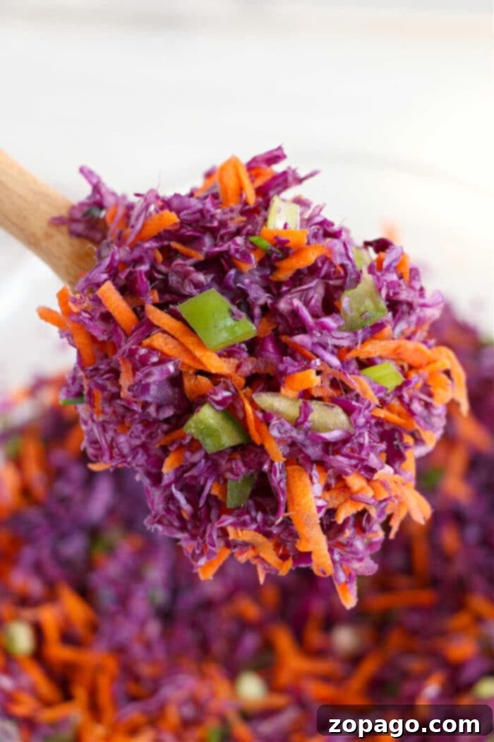 Vibrant Purple Cabbage Recipes 7 coleslaw with red cabbage