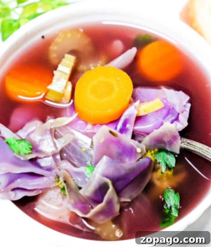 Vibrant Purple Cabbage Recipes 8 How to Cook Purple Cabbage