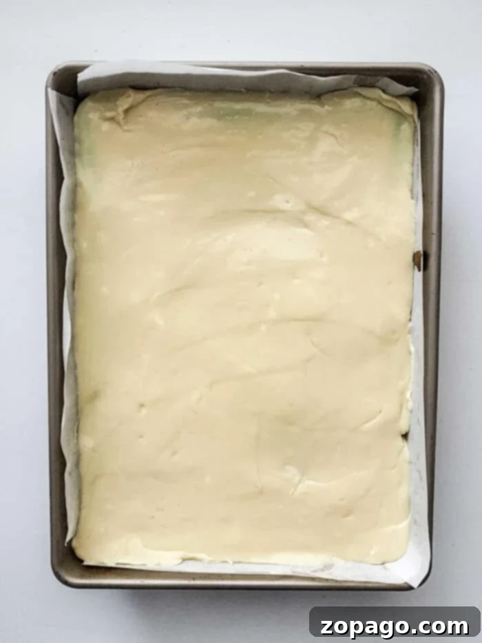 Decadent Sugar Cookie Lasagna 6 Dessert Lasagna with Graham Cracker Crust ready to serve