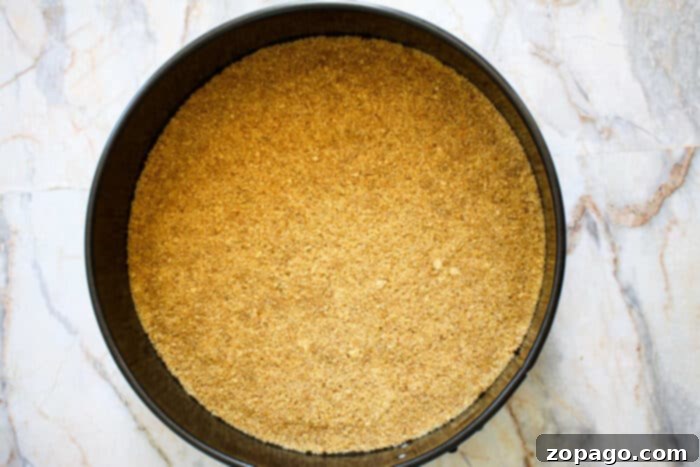 Delectable Gingerbread Cheesecake with a Gingersnap Kick 3 Pressing graham cracker crust into a springform pan for cheesecake