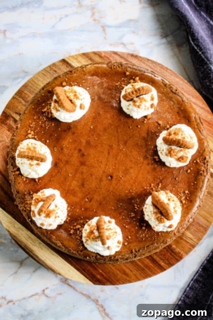 Delectable Gingerbread Cheesecake with a Gingersnap Kick 6 Close-up of a gingerbread cheesecake with a golden graham cracker crust