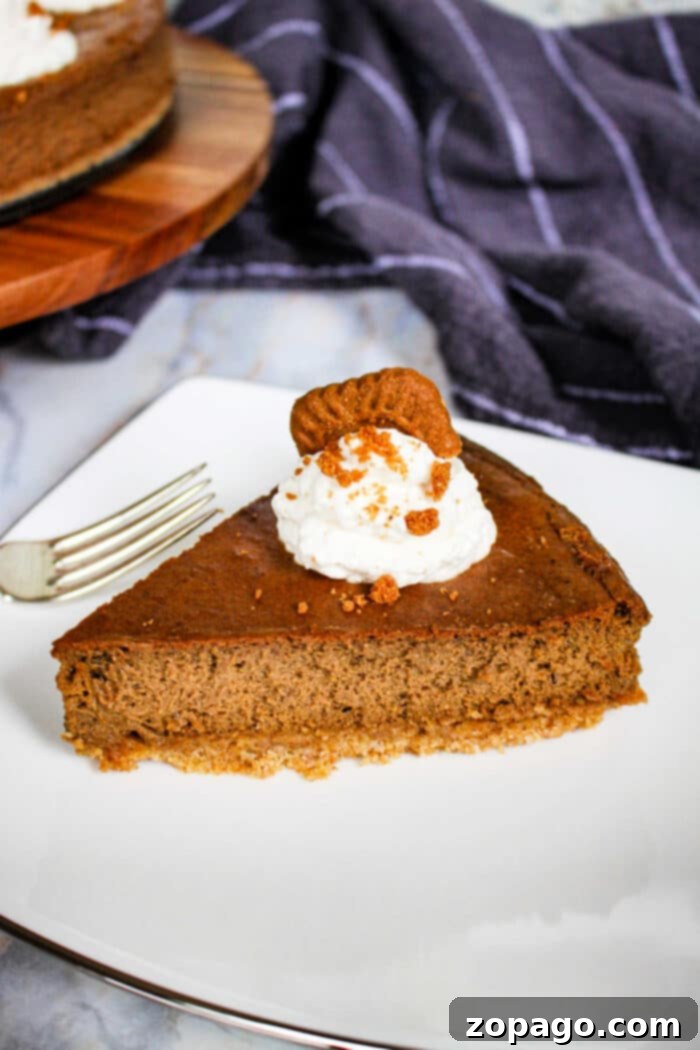Delectable Gingerbread Cheesecake with a Gingersnap Kick 7 A slice of Gingerbread Cheesecake on a plate, showing the distinct gingersnap crust and creamy filling