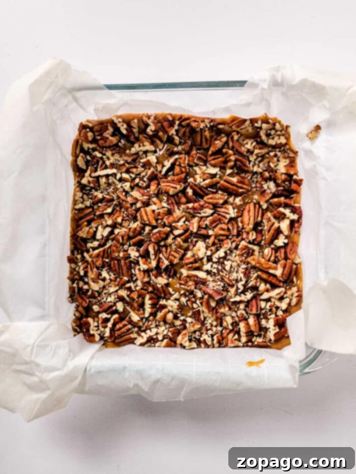 Irresistible Butter Pecan Fudge 5 Pecan fudge squares topped with generous amounts of chopped pecans.