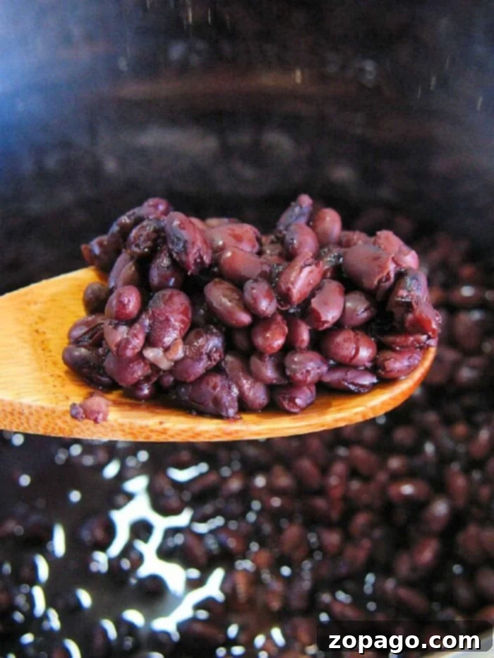 Perfect Black Beans From Scratch 8 Instant Pot Black Turtle Beans ready to be served