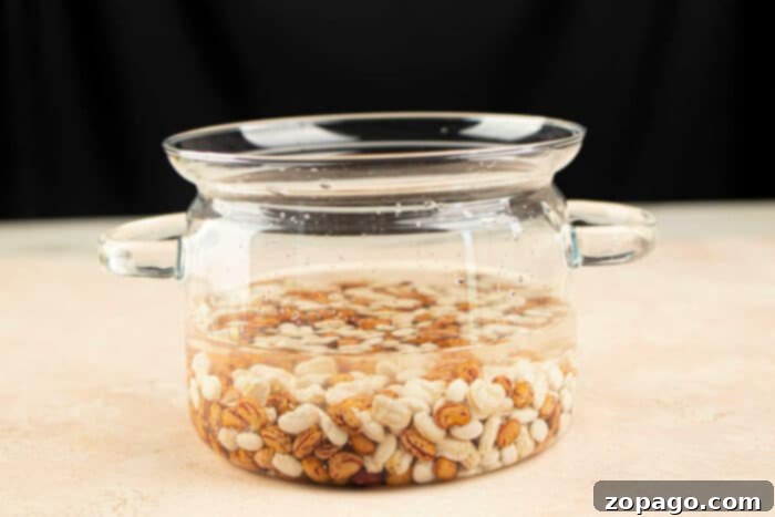 Unlock the Flavor of Tepary Beans 4 how to cook dry tepary beans soaking in water