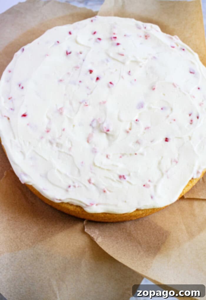 Winter Mint Frosting 9 Peppermint Frosting on a rich chocolate cake, garnished with sprinkles.