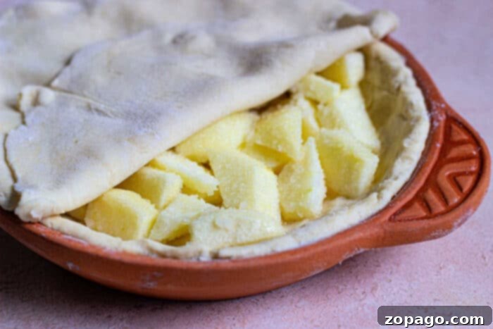 Flaky Sourdough Pie Crust 5 Golden-brown pie with a delectable sourdough pie crust in a round, orange baking dish on a light surface, accented by a checkered cloth in the background.