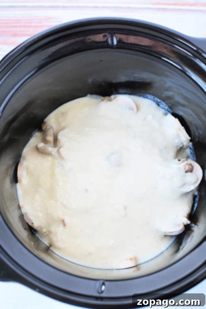 Creamy Mushroom Chicken Delight 5 Chicken and Rice Casserole with Cream of Mushroom Soup, served in a dish