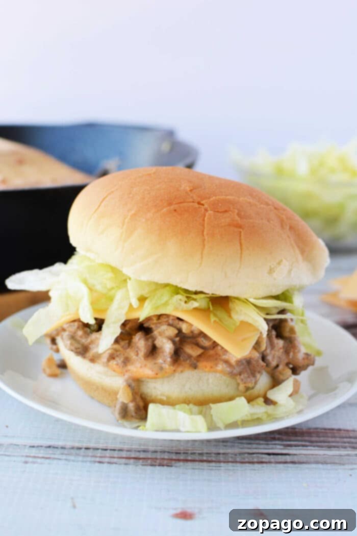 Big Mac Style Sloppy Joes 10 Big Mac Sloppy Joes with Thousand Island Dressing, topped with lettuce and pickles, ready to eat.