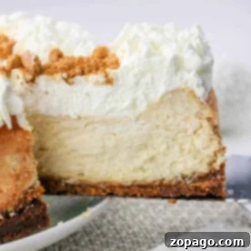 A slice of creamy Philadelphia Cream Cheese Cheesecake on a spatula, boasting a crumb crust and a fluffy whipped topping.