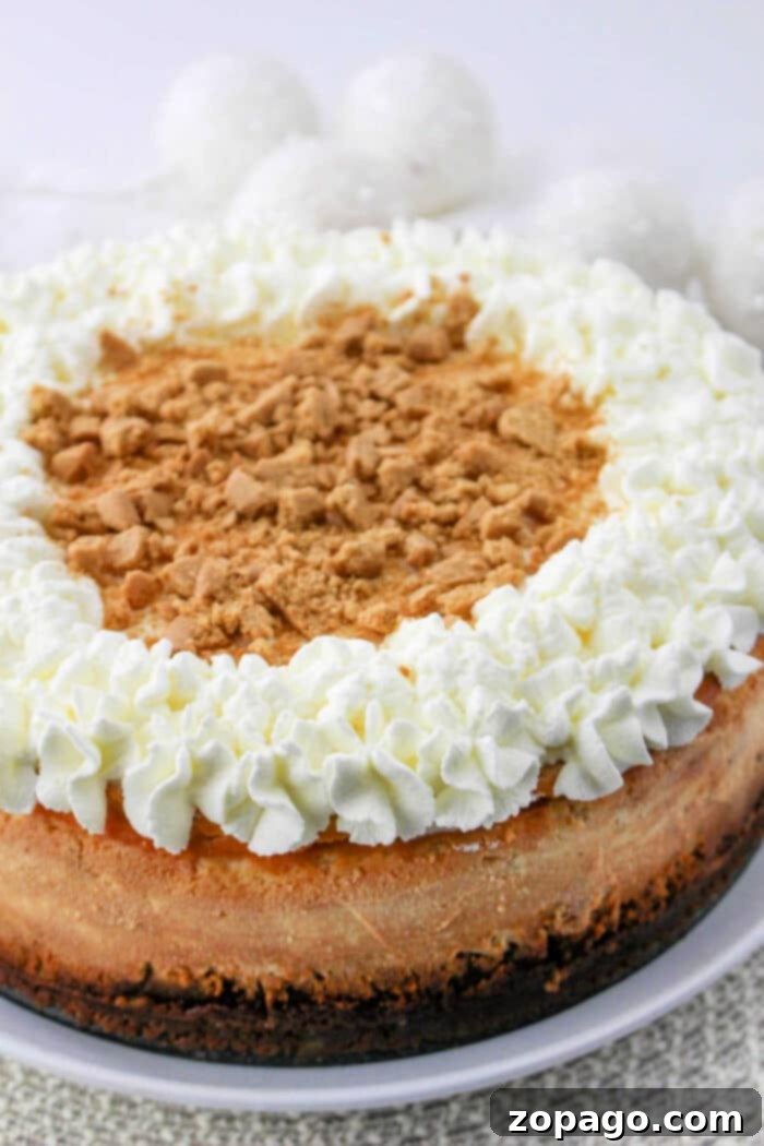 Classic Philadelphia Cream Cheese Cheesecake 7 Cheesecake Recipe Philadelphia