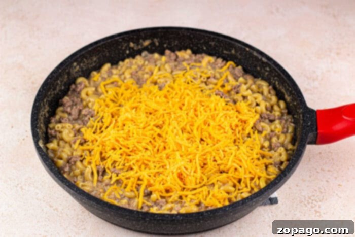 Cheeseburger Mac 6 Delicious Hamburger Meat with Mac and Cheese in a bowl.
