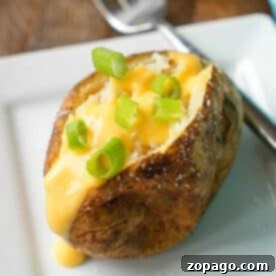 Crockpot baked potatoes topped with cheese sauce and chopped green onions on a white plate with a fork.