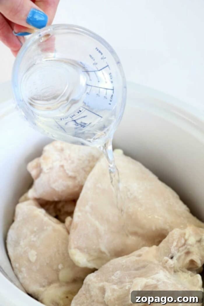 Gentle Boiled Chicken for Dogs with Upset Stomachs 4 How to Boil Frozen Chicken for Dogs