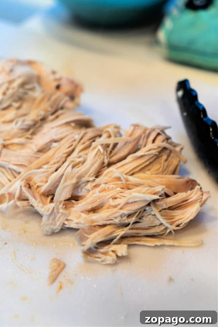 Gentle Boiled Chicken for Dogs with Upset Stomachs 5 How to Boil Plain Chicken for Dogs