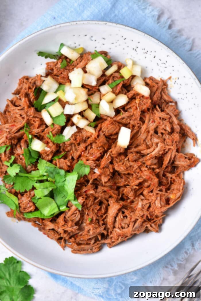 Authentic Birria Creations 2 Trader Joe's style Beef Birria ready to be served