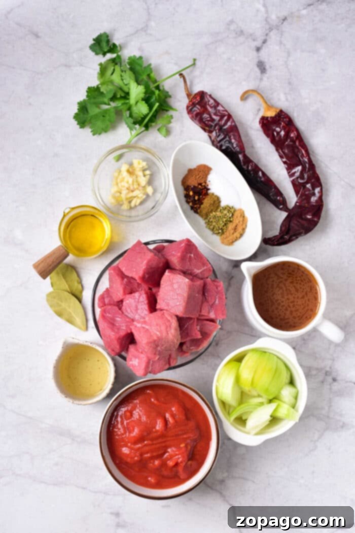 Authentic Birria Creations 3 Perfectly shredded Birria Beef ready for tacos or quesadillas