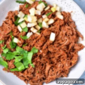 Birria shredded beef is artfully topped with diced onions and fresh cilantro, elegantly presented on a pristine white plate.