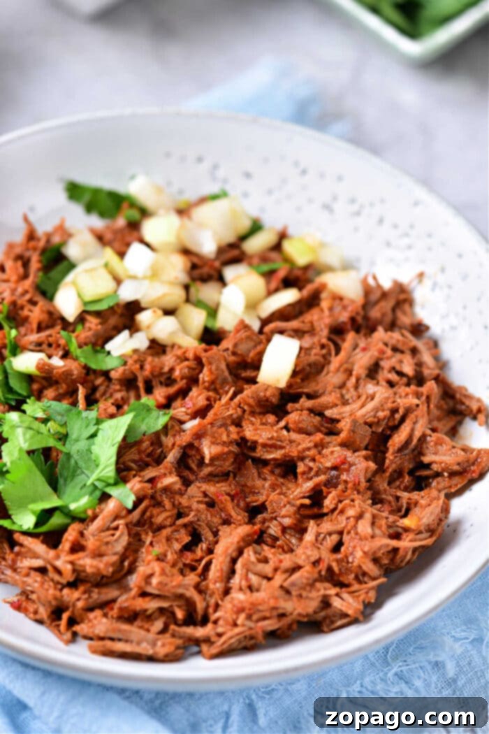 Authentic Birria Creations 7 Copycat Trader Joe's style Beef Birria for your home kitchen