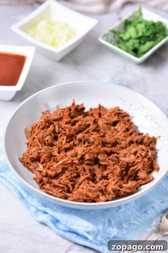 Authentic Birria Creations 8 Close-up of shredded birria beef, juicy and flavorful