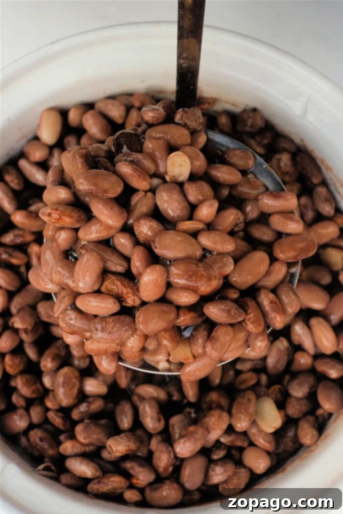 Southern Comfort Classic 5 Hearty pinto beans served with golden cornbread