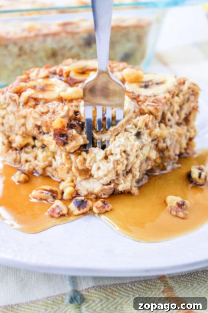 Golden Banana Bread Baked Oats 5 A fork digging into a slice of Bananas and Cream Oatmeal, baked to perfection and topped with syrup and chopped nuts on a white plate.