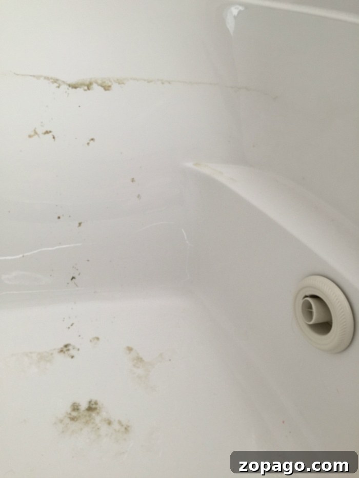 Before and after: Tackling visible dirt and hidden gunk in jetted tubs A close-up image of a white bathtub with noticeable mold and grime buildup around the edges and surface. The bathtub drain is partially visible in the bottom right corner. This jetted tub has visible dirt and requires thorough cleaning.
