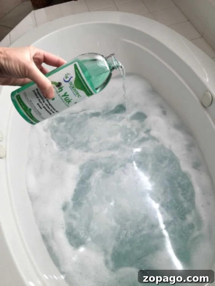 How to Clean Jacuzzi Jets 2 what is the best cleaner for jetted tubs